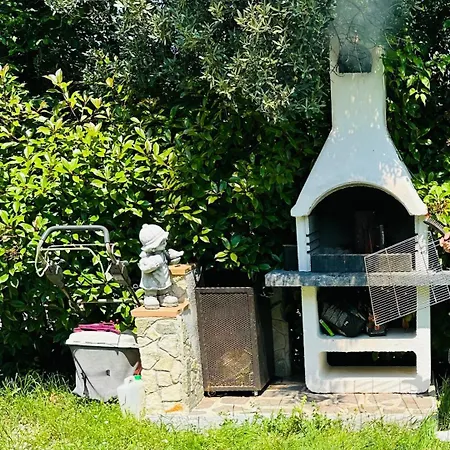 Sara Il Giardino Di Dafne *