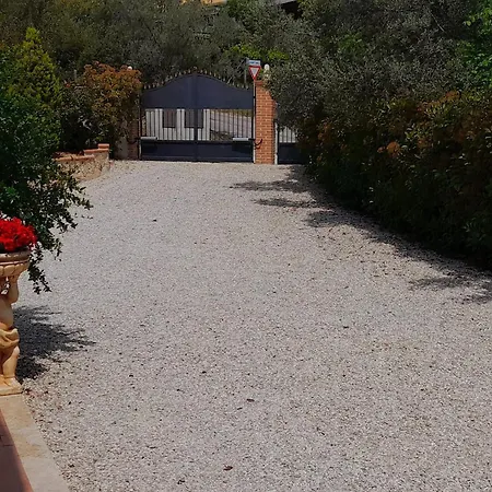 Sara Il Giardino Di Dafne Amelia
