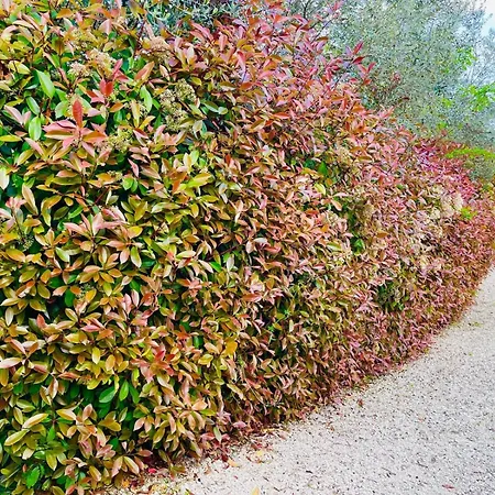 Sara Il Giardino Di Dafne Vakantiehuis