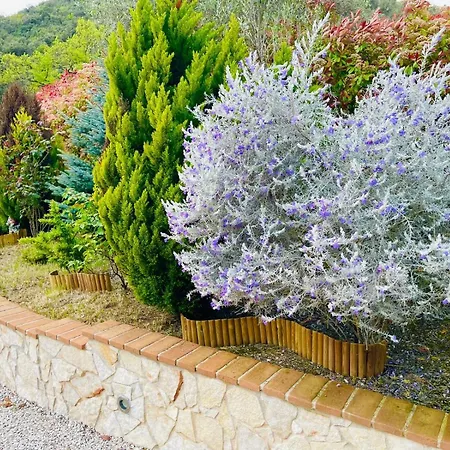 Nyaraló Sara Il Giardino Di Dafne
