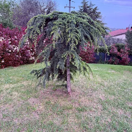 Sara Il Giardino Di Dafne Vakantiehuis Amelia