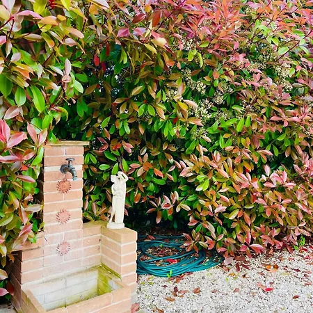 Holiday home Sara Il Giardino Di Dafne