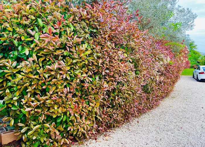 Sara Il Giardino Di Dafne Сasa de vacaciones