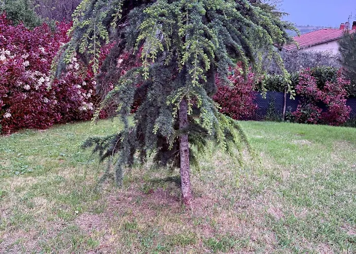 Sara Il Giardino Di Dafne Сasa de vacaciones Amelia